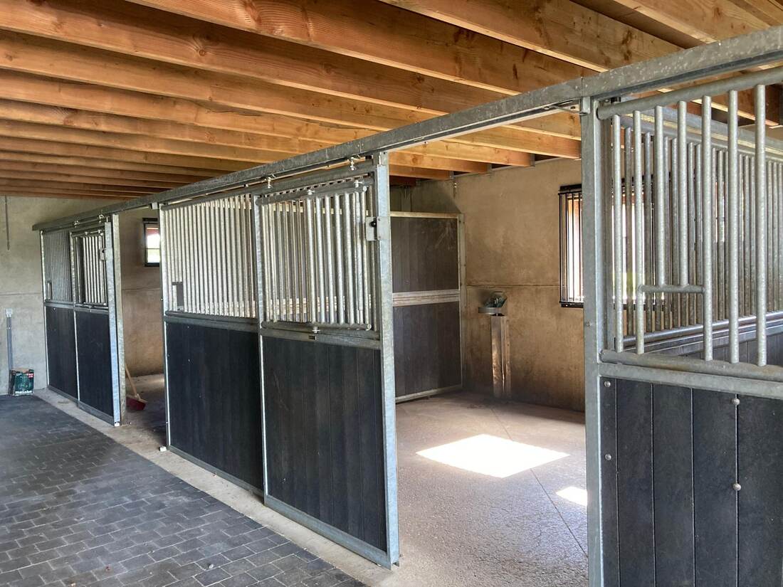 Overzicht van de stallengang met boxen