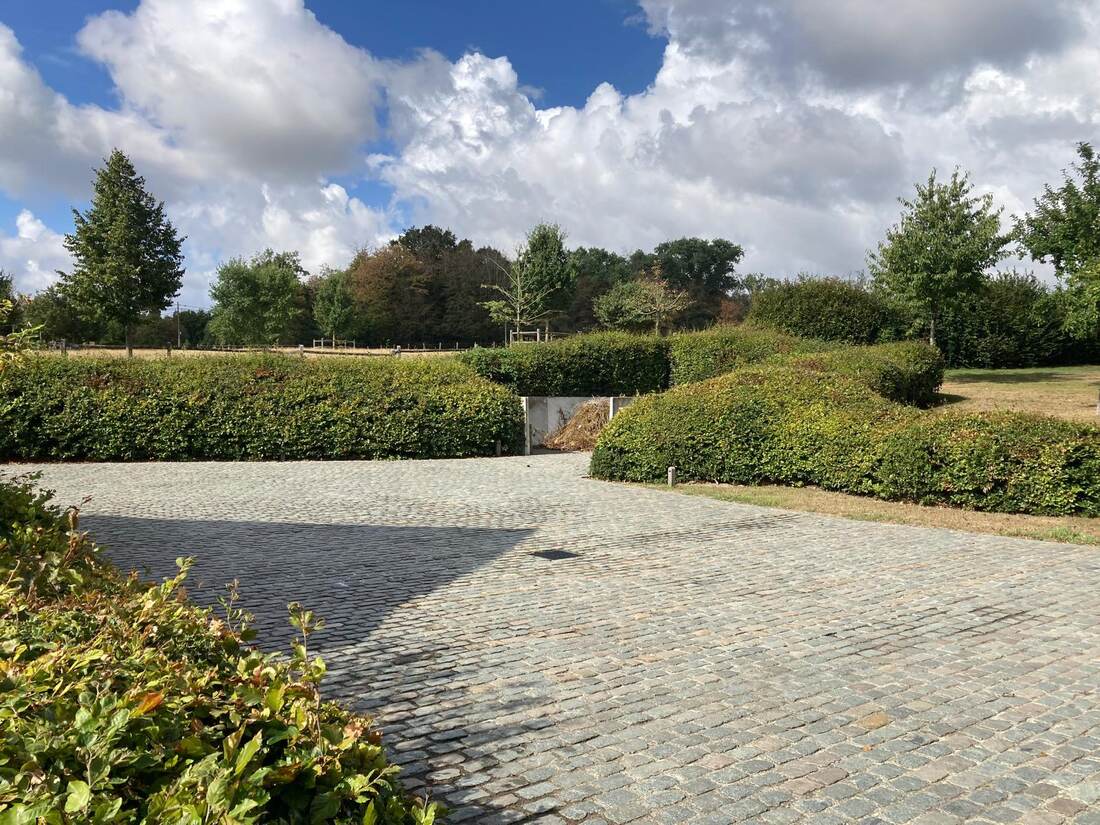 De oprit van De Spikerhoeve omzoomd door hagen